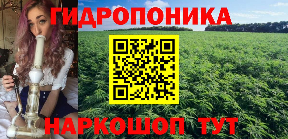 Бошки марихуана сатива Сургут